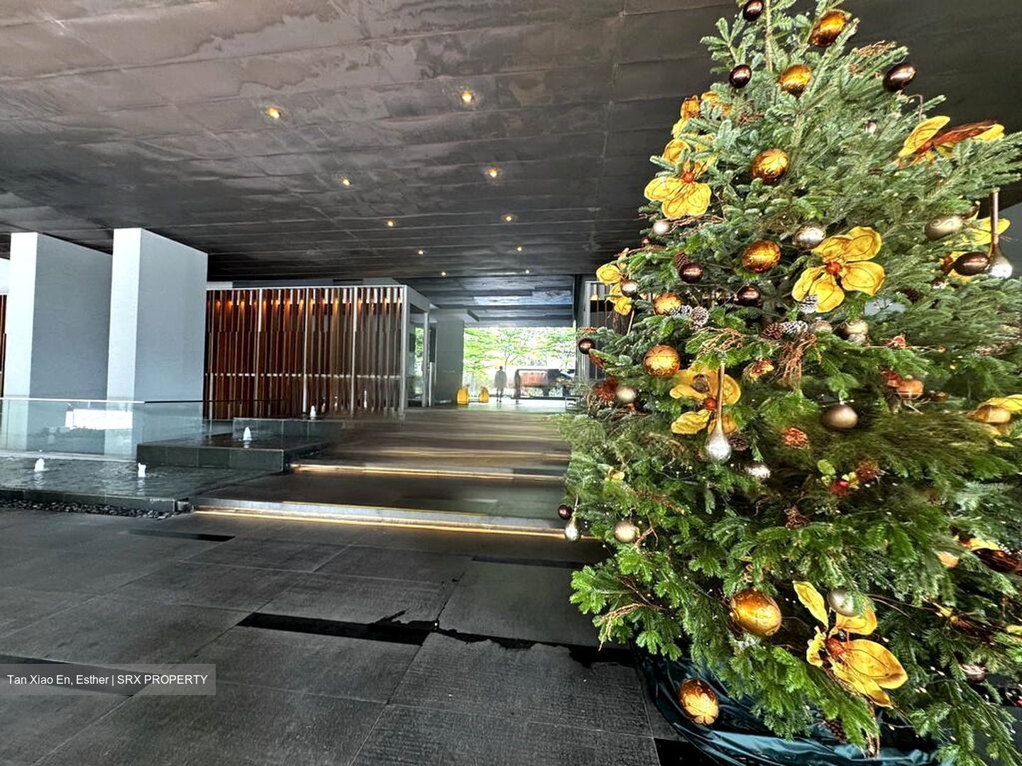 Hilltops (D9), Condominium #478550301